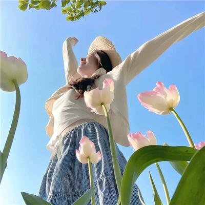 圆盘皇女 十二月夜想曲